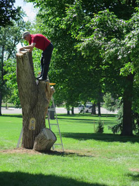 Early in the planning process, Pike and Dodds faced a major logistical challenge: a city ordinance that prohibits attaching anything to a live tree. 