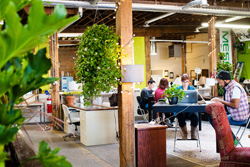 Live plants and natural light fill Green Spaces, in RiNo.