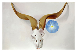 O'Keeffe