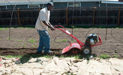 To date this year, the Ubuntu Farm has produced approximately 6,500 pounds of organic produce.